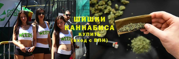 мяу мяу мука Горно-Алтайск