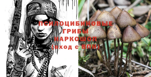 МДМА Горняк