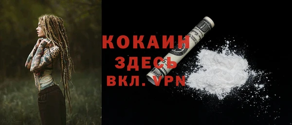 ALPHA PVP Горнозаводск