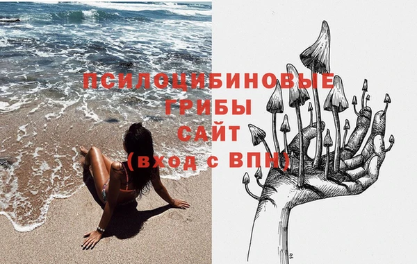 ALPHA PVP Горнозаводск